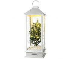 WeRChristmas Lanterne dÃ©corative Ã LED avec Sapin et Neige, 48Â cm, Blanc