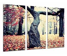Tableau Moderne Photographique, Impression sur bois, Paysage dautomne, arbre, feuilles tombées dans la forêt, 97 x 62 cm, ref. 26843