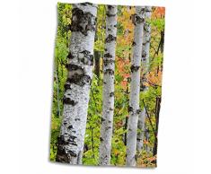 3dRose USA, Michigan/Bouleau Coffre et Serviette de Feuilles dÃ©rable, Blanc, 15Â x 55,9Â cm