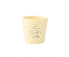 Mr Wonderful Pot de Fleurs Multicolore