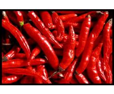 Digital Republic.com 40224 Paillasson Polyamide-PVC sans Phtalate