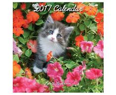 Robert Frederick 2017Â Grand Calendrier carrÃ© Kimberlin Motif Chatons, en Plastique, Couleurs Assorties