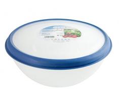 DEM frescoline Saladier avec Couvercle, Plastique, Transparent 24x24x11 cm Transparent
