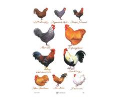 Samuel Lamont Torchon Blanc Taille Unique