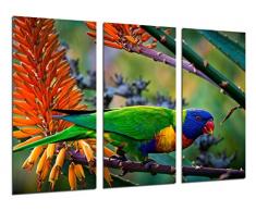 Tableau Moderne Photographique, Impression sur bois, Perroquet exotique des Caraïbes, Nature, 97 x 62 cm, ref. 26274