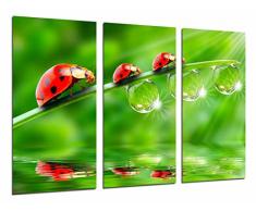 Tableau Moderne Photographique, Impression sur bois, Insecte, Coccinelle, Bel animal, Nature, 97 x 62 cm, ref. 26707