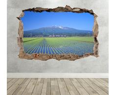 Wall Decor 247 Rice Fields 3D Nature Breakout Sticker Mural pour Salon Motif Paysage Moyen 50 cm x 35 cm
