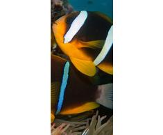 PeelitStickit ID-132Â 60Â Largeur x Hauteurâ¯: 130Â cm Eau de Haute qualitÃ© Papier Peint Mural en Vinyle