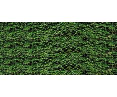 Papier Peint poster panoramique VIGNE VIERGE 4 x 2,70 m | DÃ©co et photo murale XXL QualitÃ© HD Scenolia