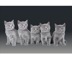 Digital Republic.com 40161 Paillasson Polyamide-PVC sans Phtalate