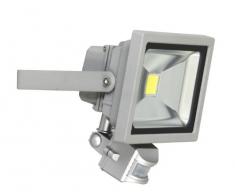 Ranex XQ1221 Projecteur LED 20 W avec Détecteur de Mouvement Aluminium Verre Gris