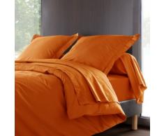 VENT DU SUD Drap Plat Uni en Coton Percale Prune 300x240 cm