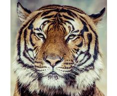 Scenolia Tableau dÃ©coration Murale Tigre 90 x 90 cm | dÃ©co Design imprimÃ©e en France