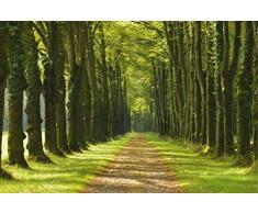 Scenolia Tableau décoratif Grand Format sur Toile Un Dimanche à LA Campagne 90 x 60 cm | Impression Haute qualité