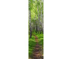 Scenolia Stickers gÃ©ant papier peint dÃ©co CHEMIN DES BOULEAUX 60 x 240 cm | DÃ©co murale QualitÃ© HD