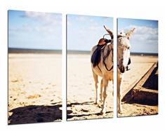 Tableau Moderne Photographique, Impression sur bois, Paysage dÃ©sertique, Ã¢ne Animal,, 97 x 62 cm, ref. 26847