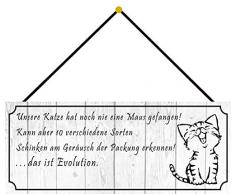 Schatzmix Chat na jamais trouvÃ© Une Souris Plaque en mÃ©tal 27 x 10 cm avec Cordon en tÃ´le Multicolore 20 x 30 cm