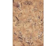 ErikÂ® - Poster Les Animaux Fantastiques - Papier GlacÃ© - 91x61cm