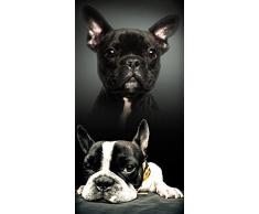 Miracle Home Bull Dog Serviette de Plage en Microfibre Multicolore 75 x 145 cm