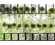 Tapisserie poster panoramique JARDINIERE SUSPENDUE 4 x 2,70 m | Déco et photo murale XXL Qualité HD Scenolia