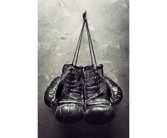 Scenolia Tableau Verre Acrylique Boxe 60 x 90 cm | DÃ©coration Murale Design Fait en France