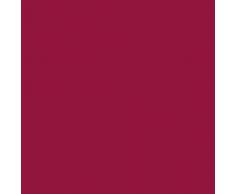 Oreillers et matelas de santé Elsa - Housse de rechange de Voyage 33/11 cm bordeaux