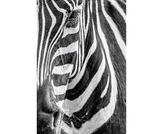 Scenolia Tableau Impression sur Toile Zebre 60 x 90 cm | Fabrication 100% en France Haute qualitÃ©