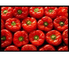 Digital Republic.com 40218 Paillasson Polyamide-PVC sans Phtalate