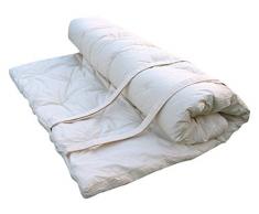 Europe & Nature Matelas Futon Shiatsu 100%Coton, Blanc, 200 x 210 x 6 cm, ENSHIATFUTON200210