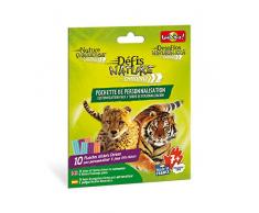 Défis Nature- Pochette de 10 Planches de Stickers Chrono, 281171