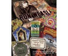 Noble Collections Harry Potter Collectibles, idée Cadeau, Figurine, Multicolore, 59997