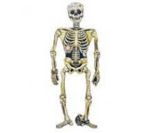 Humatt Perkins Guirlande 3D