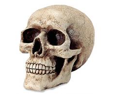 KATERINA PRESTIGE- Tirelire Crane GM, BROHF0063, Multi