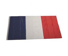 Wonder Kids WONDERKIDS- Drapeau français, DC10-2