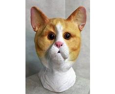 Le caoutchouc plantation TM 619219293518 Gingembre et blanc en latex Masque de chat Félin tigré Tom Animal Halloween déguisement accessoire, adulte, taille unique