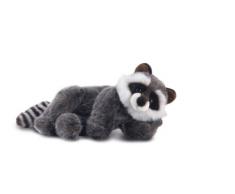 Plush & Company - 05810 - Peluche - Paco Raton Laveur - 28 cm