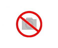 Graupner - 4450.19 - Console