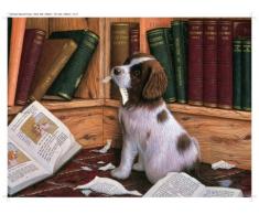 Ravensburger spaniel Chiot dans la Bibliothèque 500piece puzzle - version anglaise