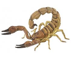 Papo - 50209 - Figurine - Animaux - Scorpion