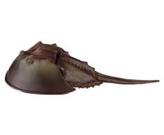 Toob Figurine Miniature de Limule Multicolore