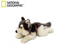 Lelly 40 cm couché LAPO Husky Peluche (Petit, Marron)