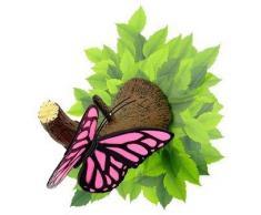 DECO-LIGHT 3D 14209 Lampe LED 3D décorative Motif Branche avec Papillon Rose