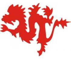 Eulenspiegel Profi-Schminkfarben GmbH Chouette Miroir 106143 – selbstklebe Pochoir – Dragon