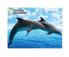National Geographic Ng28507 Dauphins Super 3D Poster Mural pour Enfant