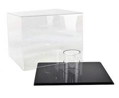 Magic-Models- Voiture Miniature de Collection, BV2Black, Plexiglass-Socle Noir