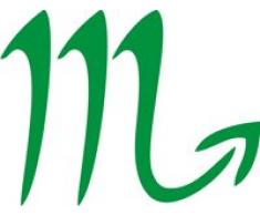 Eulenspiegel 106440 Pochoir Autocollant Motif Scorpion