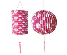 Widmann Generique - 2 Lanternes Roses Fleurs Blanches Hawaï