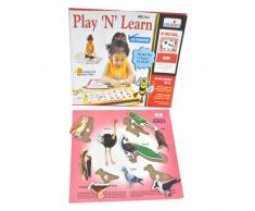 Creative Educational Jouet éducatif pour Les premières années de Jeu et dapprentissage des Oiseaux.