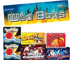 Nico Europe GmbH Wild Boys Lot de 6 boîtes de Rangement Multicolore