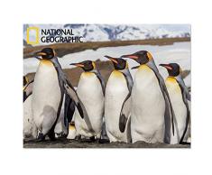 National Geographic Ng28511 Empereur Pingouins Super 3D Poster Mural pour Enfant